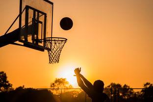 开云官网-扣篮最多的球员谁是飞天巨星，nba扣篮最多的球员