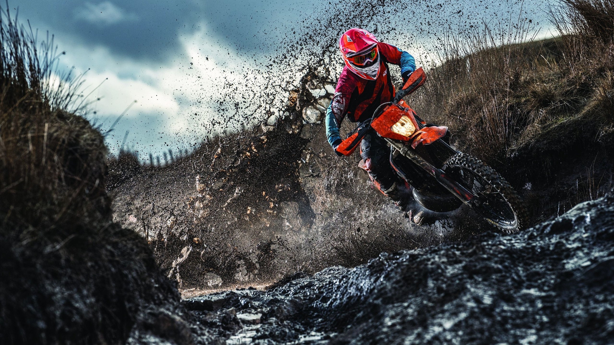 “智慧青训”项目在全国多个城市试点,行业未来可期,智慧青果eking